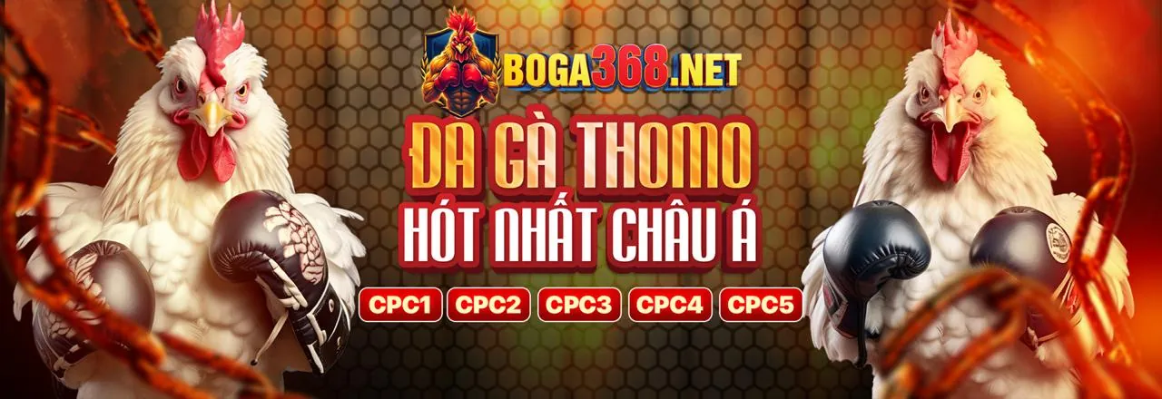 Hình ảnh chính về đá gà trực tuyến Kingfun Nhà Cái