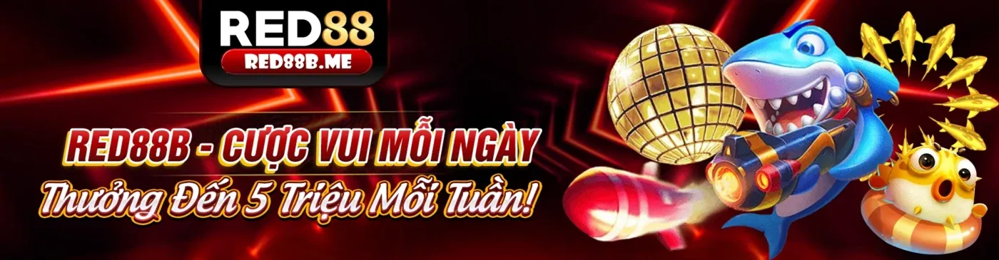 Trải nghiệm chiến thắng cùng kingfun nhà cái